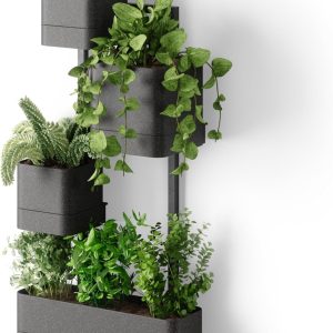 Jardinieră de perete Umbra Cubiko, suport de perete cu 4 ghivece - Negru